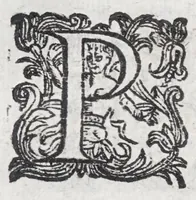 An illustration from Guerra di bellezza : festa a cavallo fatta in Firenze, per la venuta del serenissimo principe d'Vrbino, l'ottobre del 1616 (1616)