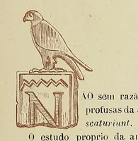 Picture 1 of 7 from Guia das collecções de archeologia classica (1919), leaf 11