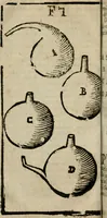 Picture 16 of 38 from Guida alla chimica : che suo mezzo conduce gl'affetionati alle operationi sopra ogni corpo misto animale, minerale, ò vegetabile : dichiarando come s'estraggono i toro sali, ogli, essenze, magisterij, mercurij, etc. ... et in quest' vltima impressione ampliata di nuoue aggiunte, & figure ... : et con la regola per metter le figure à suo loco posta nel fine (1706), leaf 253