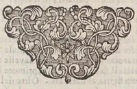 An illustration from Guida de' forestieri, curiosi di vedere e d'intendere le cose più notabili della regal città di Napoli, (1697)