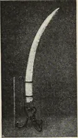 Picture 79 of 96 from Guida sommaria per il visitatore della Biblioteca Ambrosiana e delle collezioni annesse (1907), leaf 112
