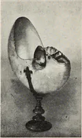 Picture 80 of 96 from Guida sommaria per il visitatore della Biblioteca Ambrosiana e delle collezioni annesse (1907), leaf 113