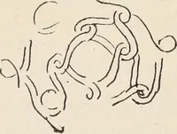Picture 22 of 96 from Guida sommaria per il visitatore della Biblioteca Ambrosiana e delle collezioni annesse (1907), leaf 51