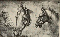 An illustration from Guida sommaria per il visitatore della Biblioteca Ambrosiana e delle collezioni annesse (1907)