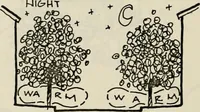 Picture 115 of 147 from Guidelines for Barre Circle homestead area, Baltimore (1900), leaf 103