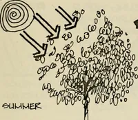 Picture 117 of 147 from Guidelines for Barre Circle homestead area, Baltimore (1900), leaf 104
