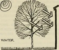 Picture 118 of 147 from Guidelines for Barre Circle homestead area, Baltimore (1900), leaf 104