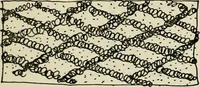 An illustration from Guidelines for Barre Circle homestead area, Baltimore (1900)