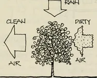 Picture 144 of 147 from Guidelines for Barre Circle homestead area, Baltimore (1900), leaf 113