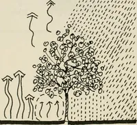 An illustration from Guidelines for Barre Circle homestead area, Baltimore (1900)