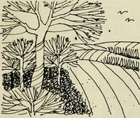 An illustration from Guidelines for Barre Circle homestead area, Baltimore (1900)
