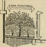 An illustration from Guidelines for Barre Circle homestead area, Baltimore (1900)