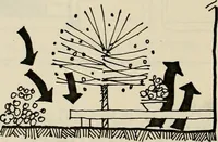 An illustration from Guidelines for Barre Circle homestead area, Baltimore (1900)