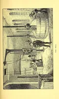 Picture 5 of 16 from A guide through the Royal Porcelain Works (1895), leaf 15