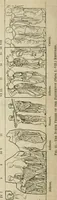 An illustration from A guide to the Department of Greek and Roman Antiquities in the British Museum (1899)
