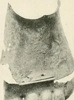 An illustration from A guide to the exhibition illustrating Greek and Roman life (1920)