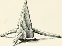 An illustration from A guide to the exhibition illustrating Greek and Roman life (1920)