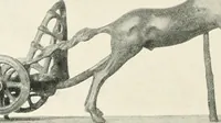 Picture 174 of 229 from A guide to the exhibition illustrating Greek and Roman life (1920), leaf 182