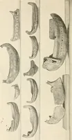 An illustration from A guide to the exhibition illustrating Greek and Roman life (1920)
