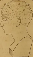 An illustration from A guide to human and comparative phrenology : With observations on the national varieties of the cranium, and a description of Drs. Gall and Spurzheim's method of dissecting the human brain (1831)