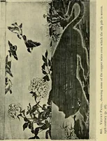 An illustration from Guide to the Japanese textiles (1919)