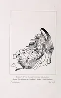 Picture 1 of 11 from Guide to the Japanese textiles (1919), leaf 8