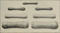 Picture 33 of 201 from A guide to the Mediaeval Room and to the specimens of mediaeval and later times in the gold ornament room : with fourteen plates and a hundred and ninety-four illustrations (1907), leaf 54