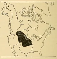 An illustration from Guide to the museum, first floor (1922)