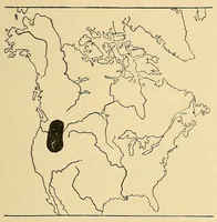 An illustration from Guide to the museum, first floor (1922)
