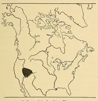 An illustration from Guide to the museum, first floor (1922)