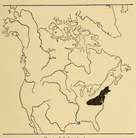 An illustration from Guide to the museum, first floor (1922)