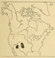 Picture 11 of 16 from Guide to the museum, first floor (1922), leaf 135