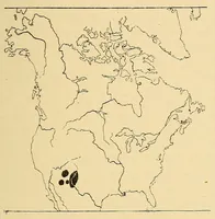 An illustration from Guide to the museum, first floor (1922)