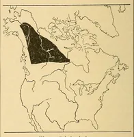 Picture 13 of 16 from Guide to the museum, first floor (1922), leaf 162