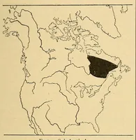 An illustration from Guide to the museum, first floor (1922)
