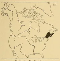 Picture 15 of 16 from Guide to the museum, first floor (1922), leaf 177