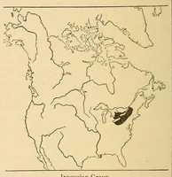Picture 2 of 16 from Guide to the museum, first floor (1922), leaf 24