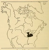 An illustration from Guide to the museum, first floor (1922)