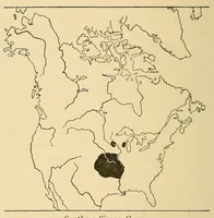 Picture 4 of 16 from Guide to the museum, first floor (1922), leaf 52