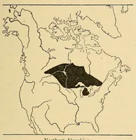 Picture 5 of 16 from Guide to the museum, first floor (1922), leaf 63