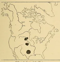 Picture 7 of 16 from Guide to the museum, first floor (1922), leaf 91