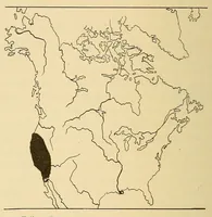 An illustration from Guide to the museum, second floor (1922)