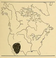 An illustration from Guide to the museum, second floor (1922)
