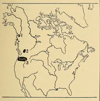 An illustration from Guide to the museum, second floor (1922)
