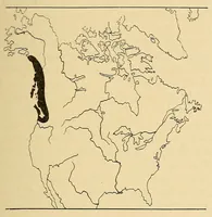 An illustration from Guide to the museum, second floor (1922)