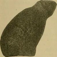 An illustration from Guide to the Peabody museum (1916)