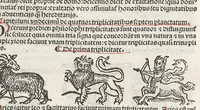 An illustration from Guido Bonatus de Forlinio decem continens tractatus astronomie