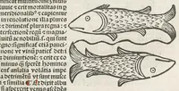 Picture 13 of 22 from Guido Bonatus de Forlinio decem continens tractatus astronomie, leaf 547