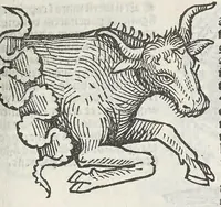 Picture 15 of 22 from Guido Bonatus de Forlinio decem continens tractatus astronomie, leaf 555