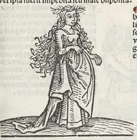 Picture 16 of 22 from Guido Bonatus de Forlinio decem continens tractatus astronomie, leaf 555